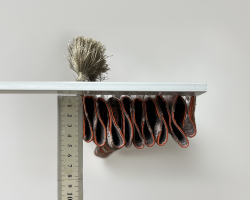 ELIZA 1:2.0  rapport 115 mm