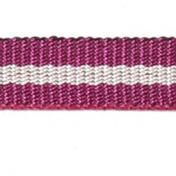 Тесьма 1801-53