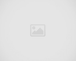 Весеннее настроение из зелёного каталога