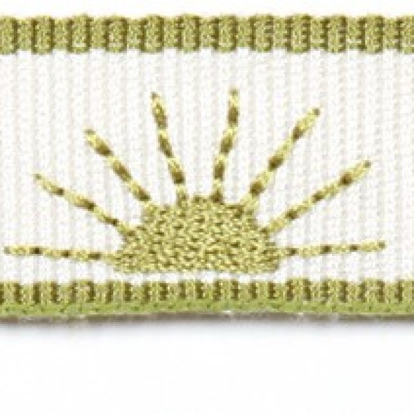 Тесьма 3200-45