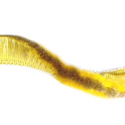 Бахрома 1603-65