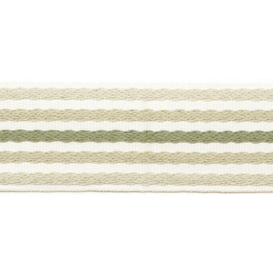 Тесьма 6207-04