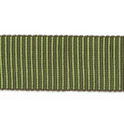 Тесьма 1806-4844